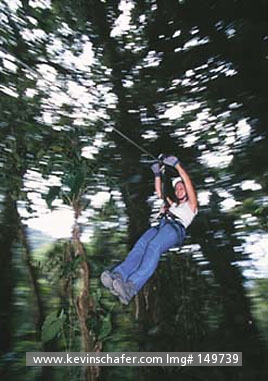 COSTA RICA: Costa Rica, Monteverde Cloud Forest, Tourist on Sky Trek Canopy Tour.  Costa Rica is a prime destination for ecotourism. No Model Release available.