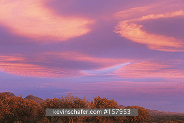 USA, NEW MEXICO: Bosque del APache NWR, near Socorro, dramatic clouds at sunrise.