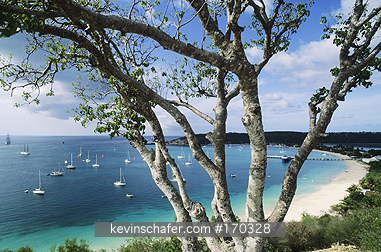 CARRIBBEAN, ANGUILLA: Carribean, Anguilla, Road Bay Harbour, Anguilla Island.