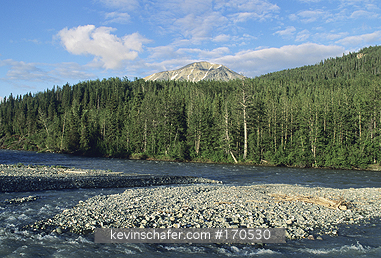 BRITISH COLUMBIA, TATSHENSHINI RIVER: Tatshenshini River, British Columbia