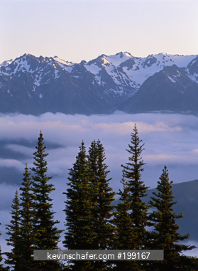 WASHINGTON, USA: Bailey Range, Mt. Carrie above Elwha River, Hoh Rainforest, Olympic National Park.