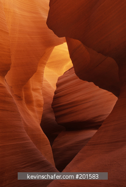 ARIZONA, USA: Page area, Lake Powell, Antelope Canyon, magical reflected light in slot canyon.