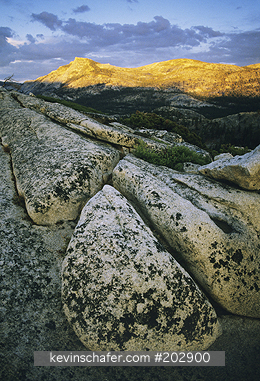 CALIFORNIA, YOSEMITE: USA, California, Yosemite National Park, Olmstead Point at sunset.