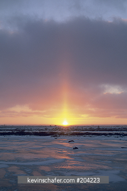 CANADA, MANITOBA: Sunset with solar pillar, Hudson Bay Churchill area, tundra in winter, November.