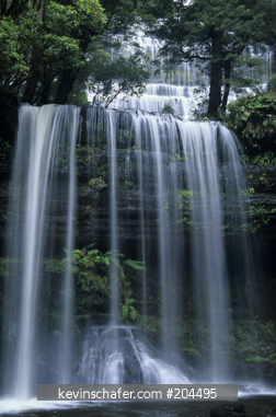 AUSTRALIA, TASMANIA: Mt. Field National Park, Russell Falls, temperate rainforest.