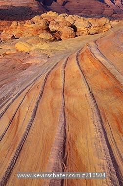 UTAH: Coyote Buttes, Paria/Vermillion Cliffs Wilderness, colorful sandstone formations.