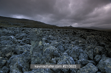 FALKLAND ISLANDS: Falkland Islands, East Falkland, Stone runs, Mysterious stone runs (