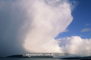 FALKLAND ISLANDS: Falkland Islands, New Island, North shore, Summer storm.