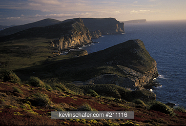 FALKLAND ISLANDS: Falkland Islands, New Island, Westernmost of the islands, Dusk looking south over tussac and coast.