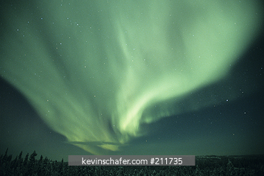 CANADA: At night with Aurora Borealis, Great Slave Lake area, northern lights, Northwest Territories.
