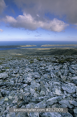 FALKLAND ISLANDS: Falkland Islands, West Falkland, Near Port Howard, Stone run--unique \\\'rock glaciers\\\' on mountain.