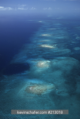 BELIZE: Belize Barrier Reef, longest in New World, aerial of offshore patch reefs.