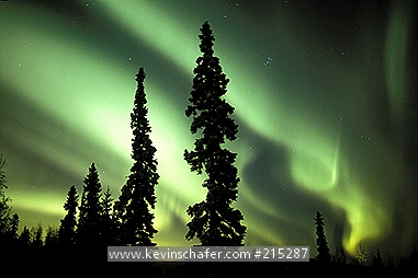 AURORA BOREALIS: Northern Lights, Fairbanks area, central Alaska, major solar flare event, October 28/29, 2003.