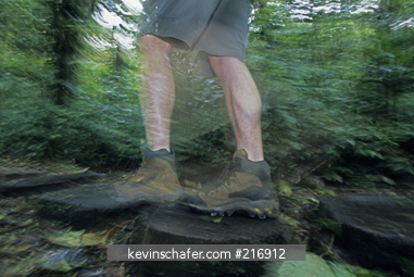 COSTA RICA, PEOPLE: Monteverde Cloud Forest Reserve, hiker in forest, MR.