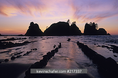 WASHINGTON, USA: Olympic National Park, Shi-shi Beach, Point of Arches, Pacific coast, dramatic sunset over sea stacks.