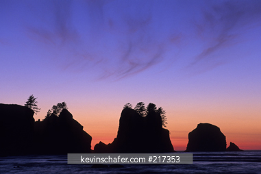 WASHINGTON, OLYMPIC NATIONAL PARK: Shi-shi Beach, Point of Arches, Pacific Coast, remote wilderness beach with dramatic seastacks.