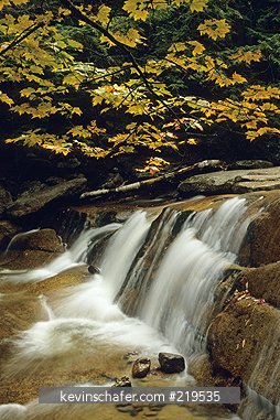 NEW HAMPSHIRE: North Woodstock area, Dianas Baths, Lucy Brook, autumn leaves and small waterfall.