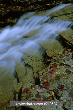 NEW HAMPSHIRE, USA: White Mountains, Crawford Notch State Park, Bemis Brook, waterfall detail.