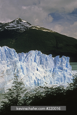 ARGENTINA: Los Glaciares National Park, Perito Mereno Glacier, active glacier drops into Lago Argentina.