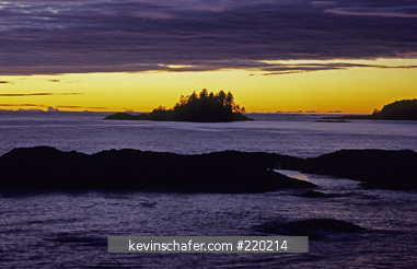 CANADA, BRITISH COLUMBIA: Vancouver Island, Tofino area at sunset, Pacific Rim National Park, Pacific Ocean.