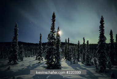 AURORA BOREALIS: South central Alaska, Susitna Valley, near Nancy Lake, Jan. 18-19, 2005.
