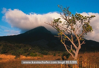 COSTA RICA: Costa Rica, Guanacaste National Park, Clouds on Volcan Orosi in the dry season.