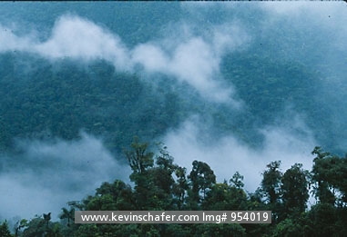 COSTA RICA: Costa Rica, Braulio Carrillo National Park, Overview of montane rainforest.