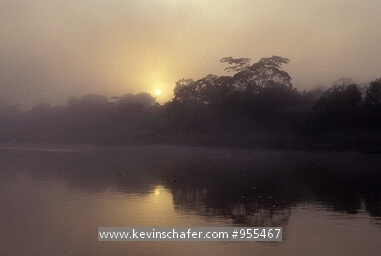 PERU: SE Peru, Tambopata Reserve, Rio Tambopata at dawn.