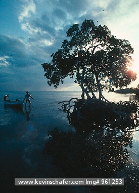 BELIZE, PEOPLE: Fishermen returning after fishing waters off Placencia, Belize.