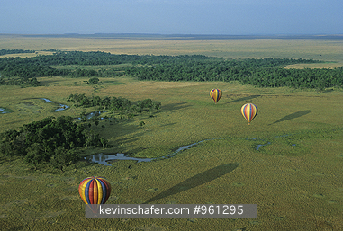 AFRICA, KENYA: Balloon safari over Serengeti, mulitple hot air ballons, Masai Mara Reserve.
