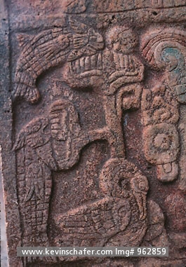 MEXICO, CHICHEN ITZA: Detailed carving at Temple of Bearded Man stonework, Maya Ruins.