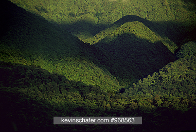 COSTA RICA: Braulio Carrillo National Park, rainforest sunrise.