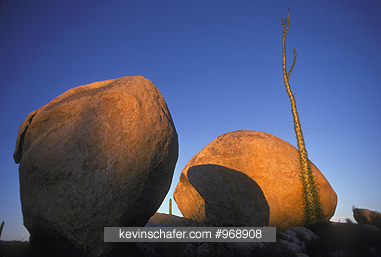 MEXICO, BAJA CALIFORNIA: Granite Boulders and \