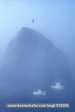 USA, CALIFORNIA: Farallon Island, Salmon fishing boats in fog.