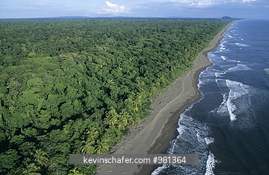 COSTA RICA: Costa Rica, Tortuguero National Park, Aerial of turtle nesting beach.