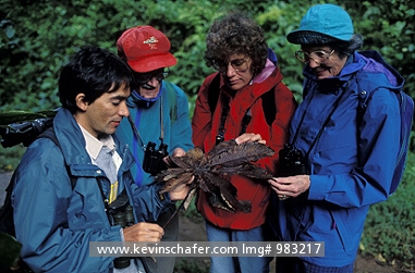 COSTA RICA: Costa Rica, Monteverde Reserve, Tourists with naturalist.