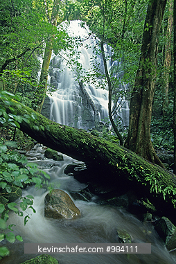 COSTA RICA: Costa Rica, Rincon de la Vieja, Las Pailas Waterfall,  seasonal waterfalls in dry forest area.